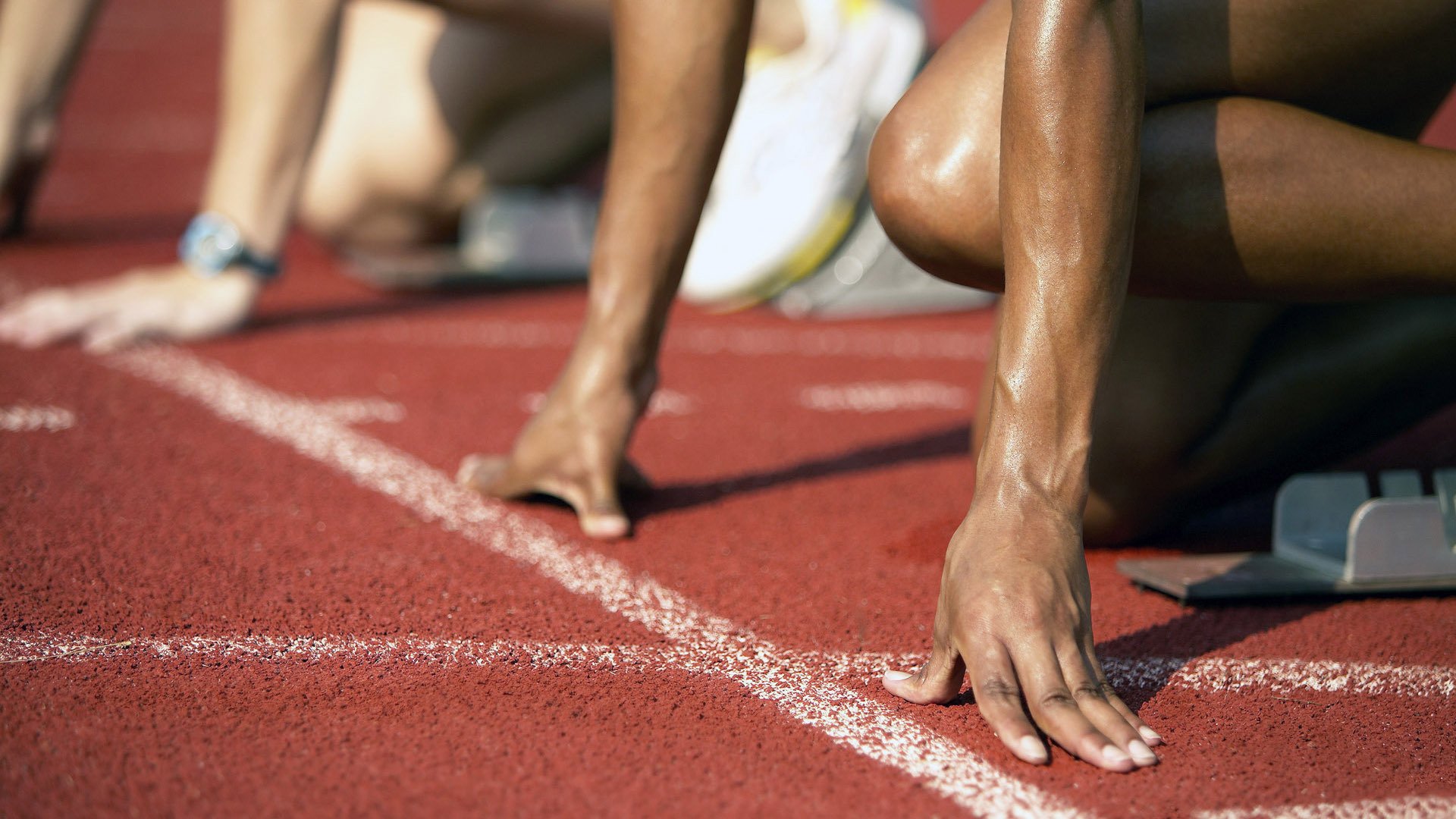 当实力成为唯一语言,布鲁诺的证明与埃及的启示